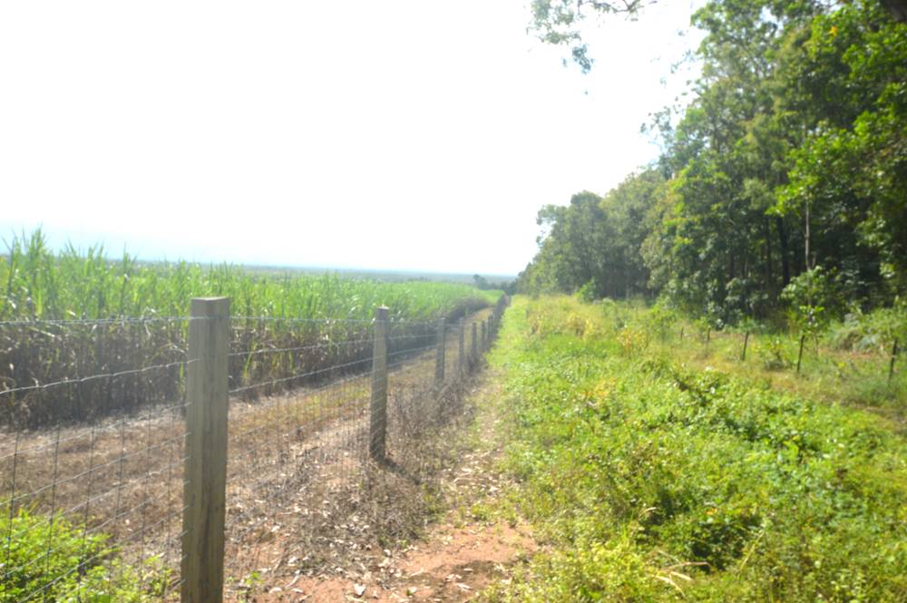 71 OLD CARDWELL RD, BILYANA, QLD 4854