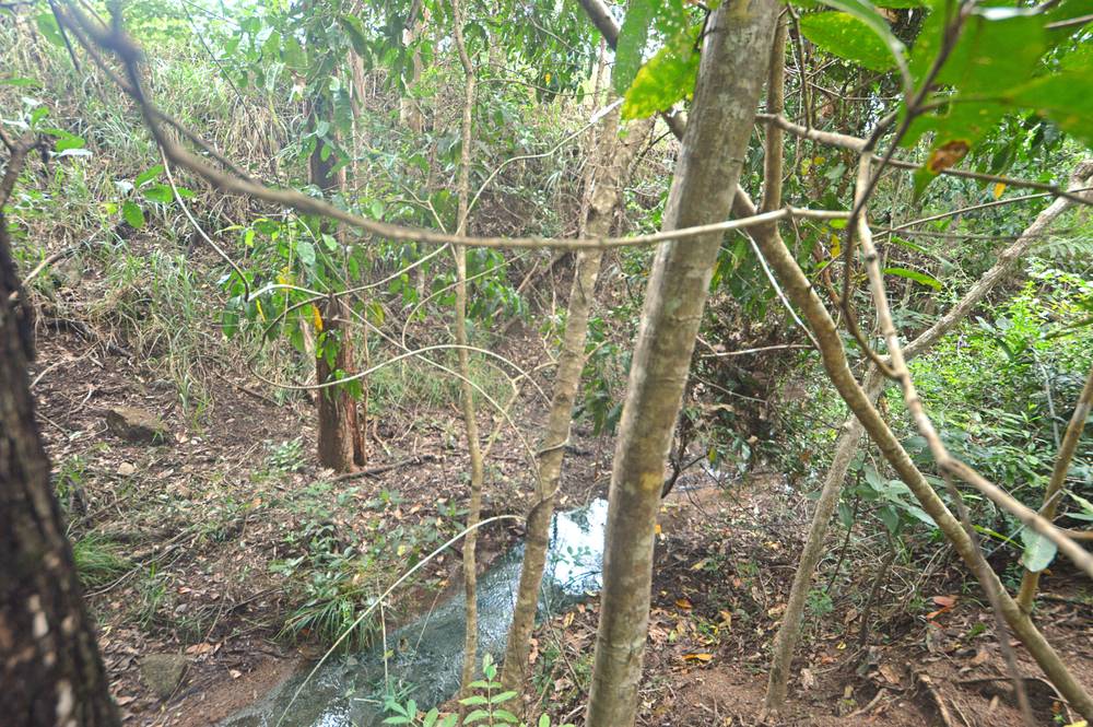 71 OLD CARDWELL RD, BILYANA, QLD 4854