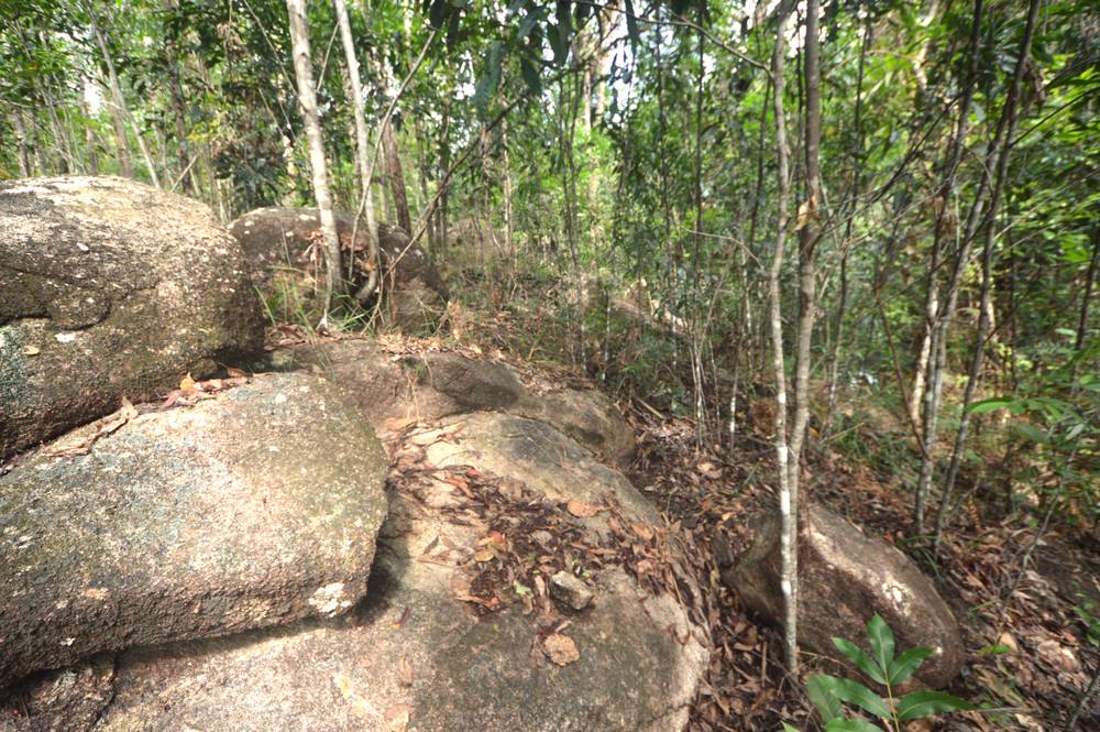 71 OLD CARDWELL RD, BILYANA, QLD 4854