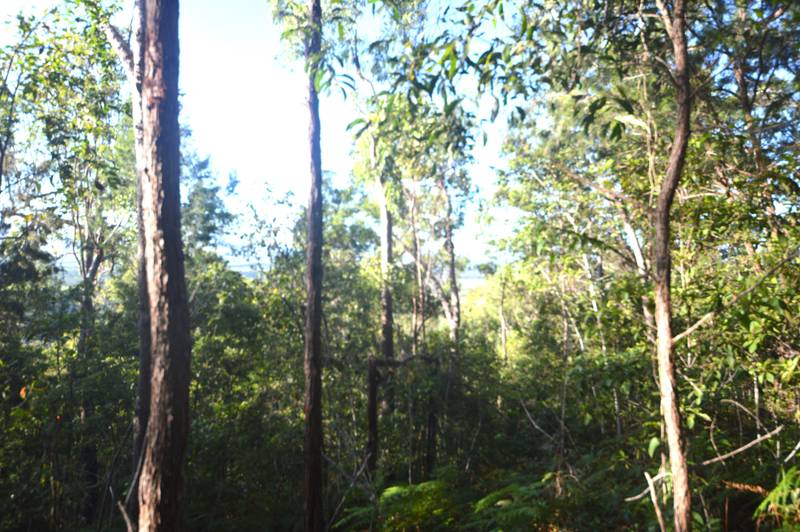 71 OLD CARDWELL RD, BILYANA, QLD 4854