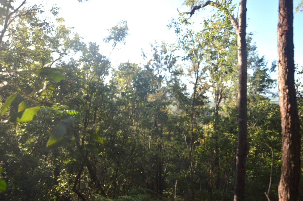 71 OLD CARDWELL RD, BILYANA, QLD 4854