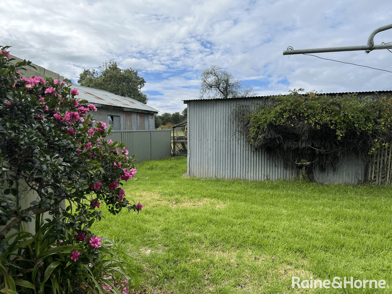 12-14 Sullivan Street, GRENFELL, NSW 2810