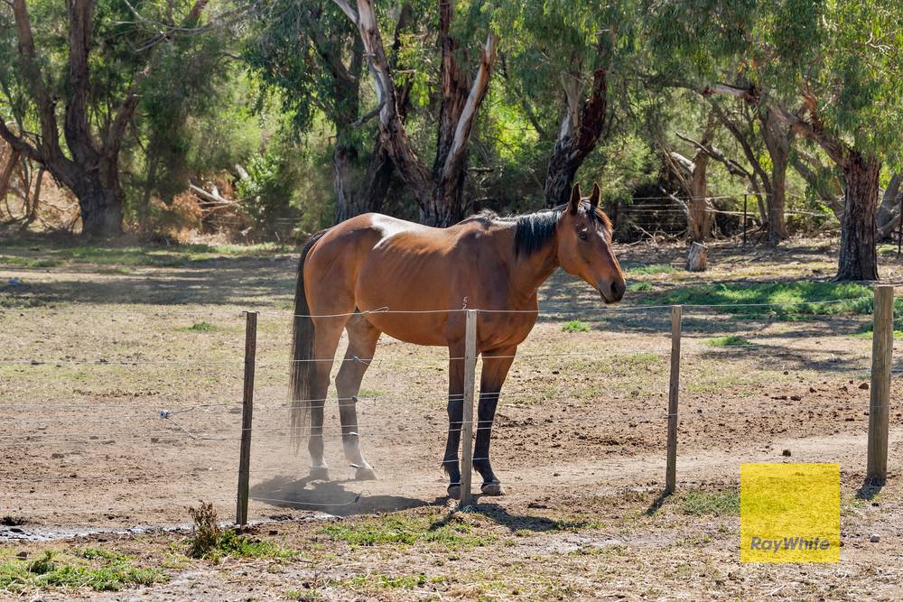 1175 Bannockburn-Shelford Road, TEESDALE, VIC 3328