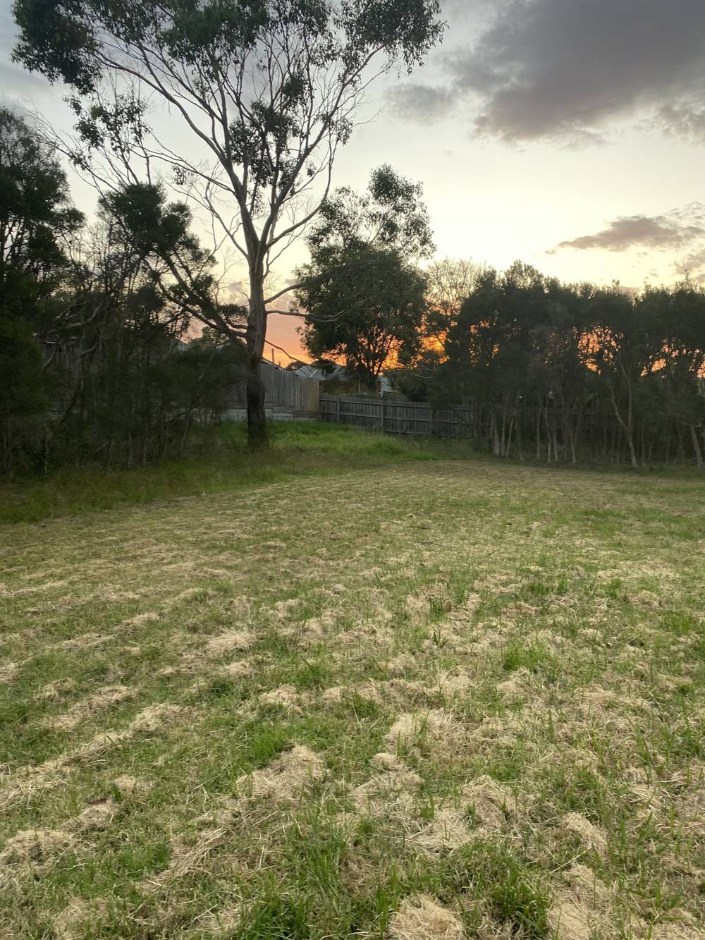 89 Aqueduct Road, Langwarrin, VIC 3910