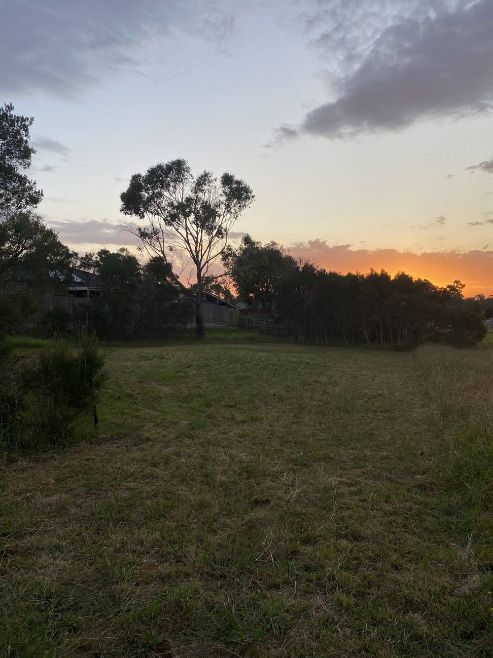 89 Aqueduct Road, Langwarrin, VIC 3910