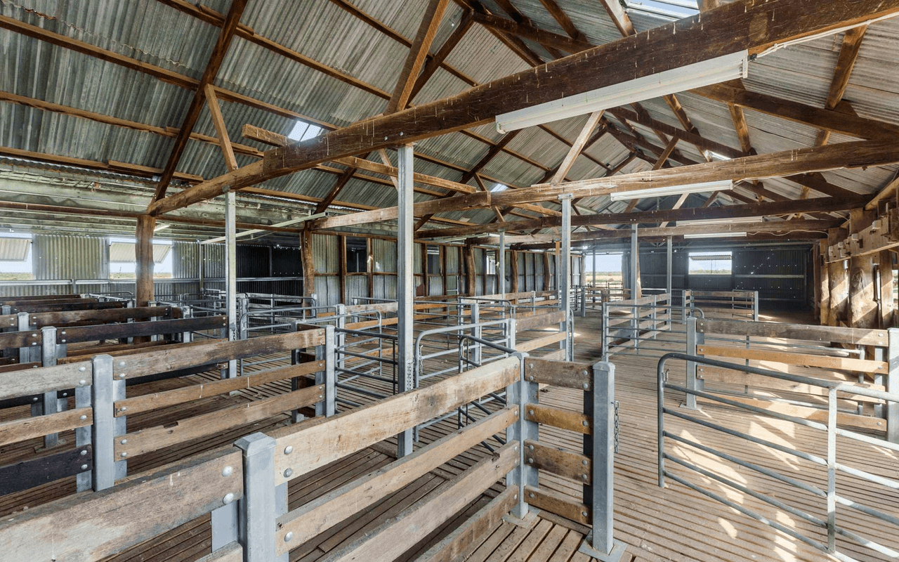 1536  Glen Emu Road, BALRANALD, NSW 2715