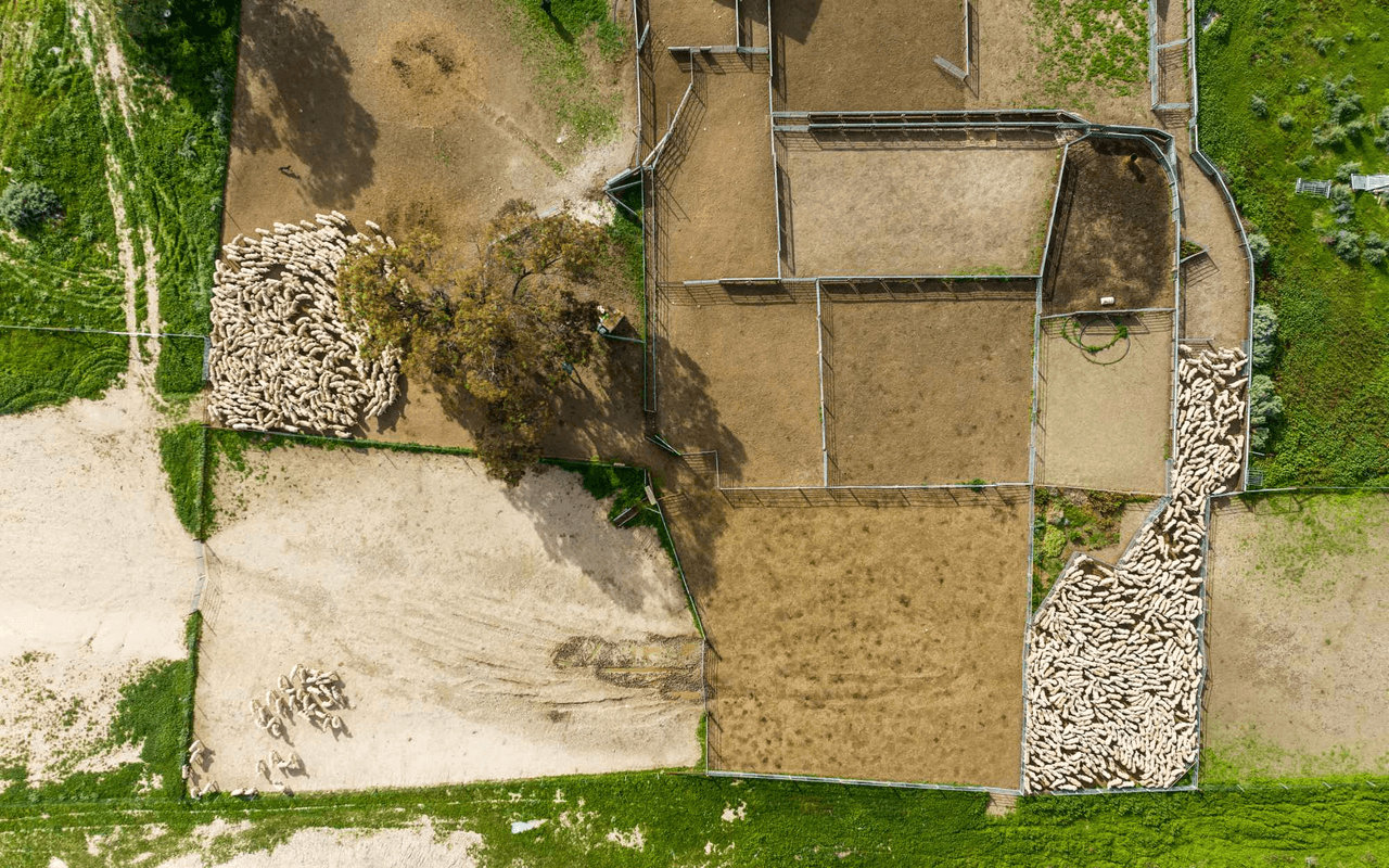 1536  Glen Emu Road, BALRANALD, NSW 2715