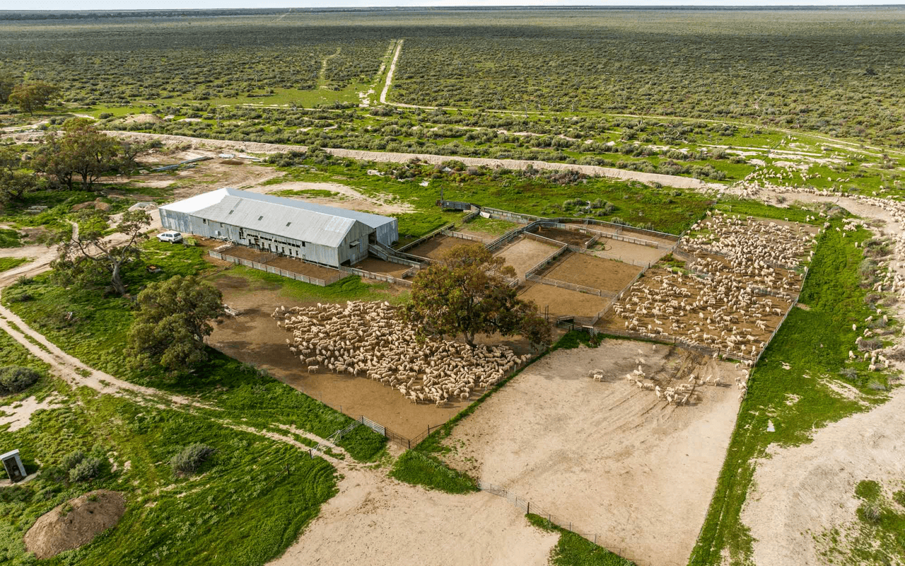1536  Glen Emu Road, BALRANALD, NSW 2715