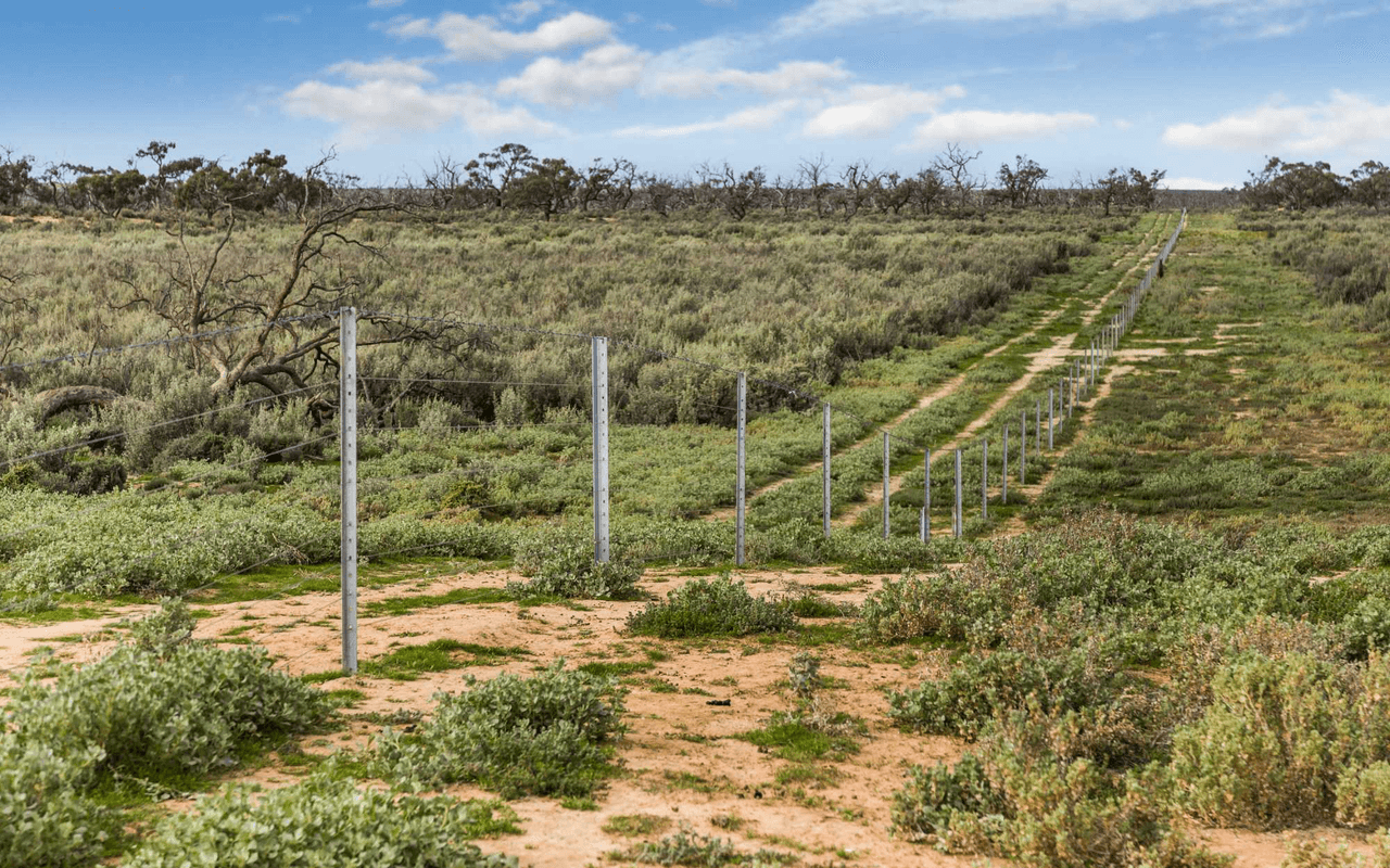 1536  Glen Emu Road, BALRANALD, NSW 2715