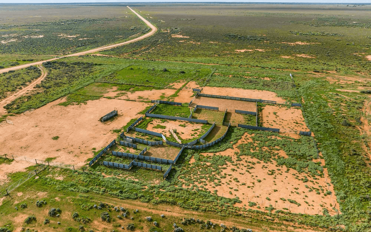 1536  Glen Emu Road, BALRANALD, NSW 2715