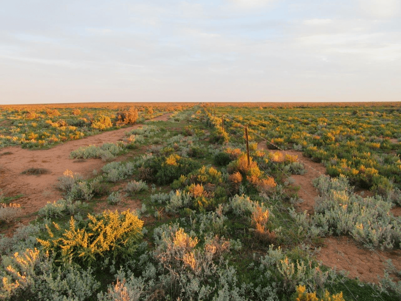 1536  Glen Emu Road, BALRANALD, NSW 2715