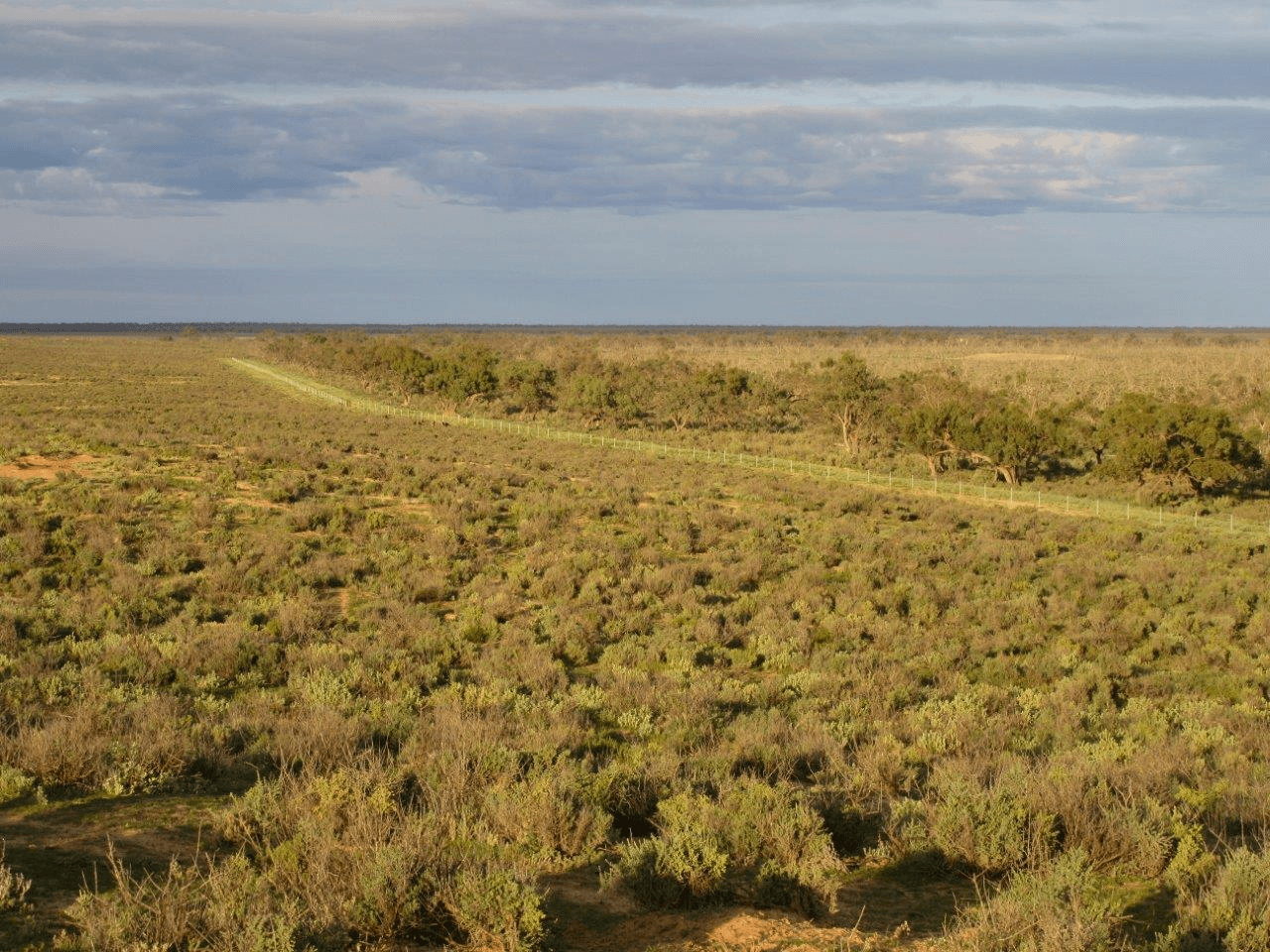 1536  Glen Emu Road, BALRANALD, NSW 2715