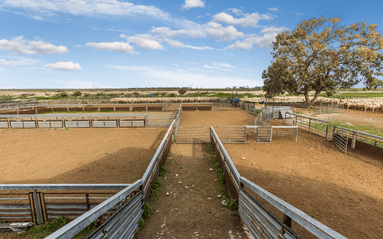 1536  Glen Emu Road, BALRANALD, NSW 2715