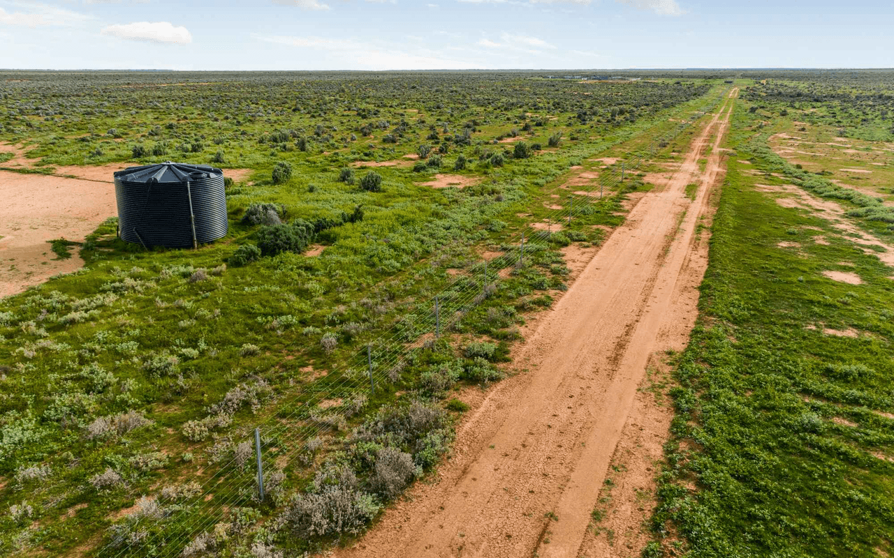 1536  Glen Emu Road, BALRANALD, NSW 2715