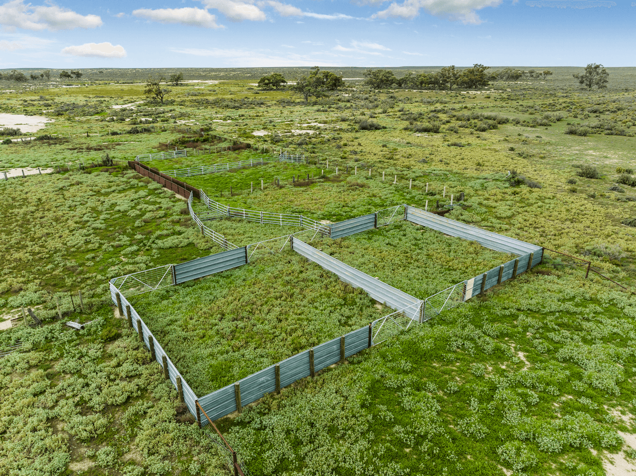 1536  Glen Emu Road, BALRANALD, NSW 2715