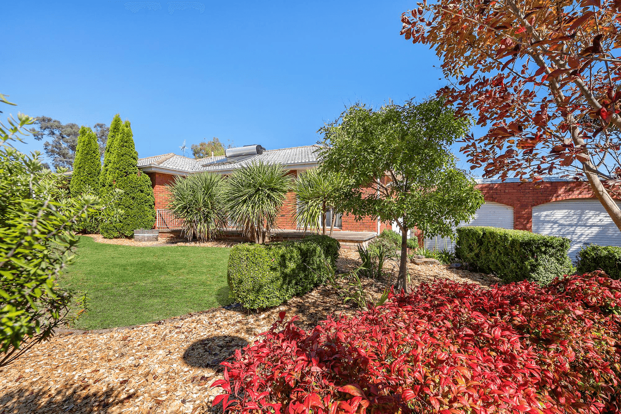 3 Colborne Place, SPENCE, ACT 2615