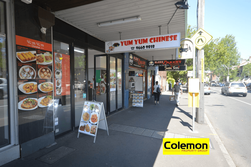 317 Glebe Point Road, GLEBE, NSW 2037