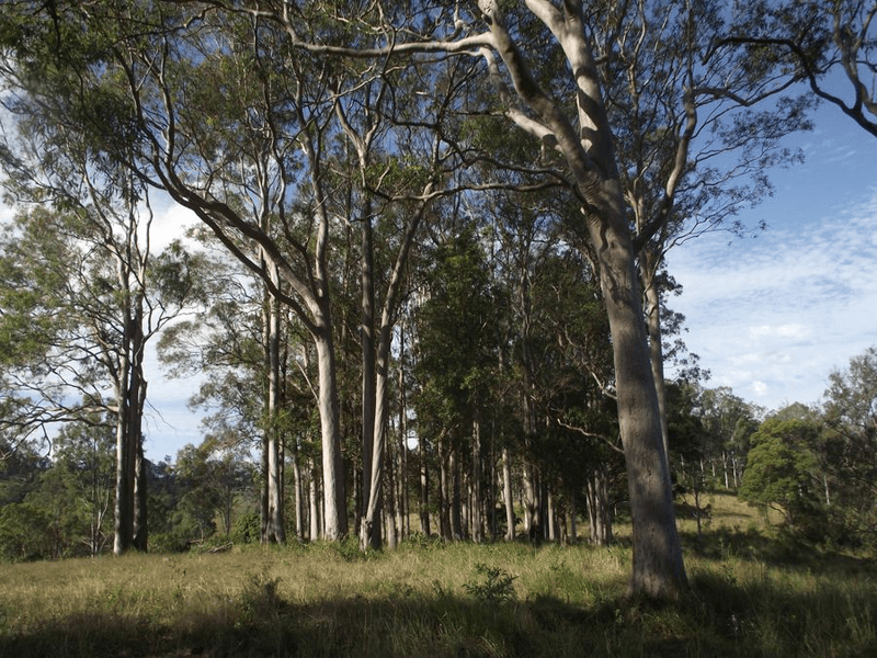 453 Old Goomboorian Road, VETERAN, QLD 4570