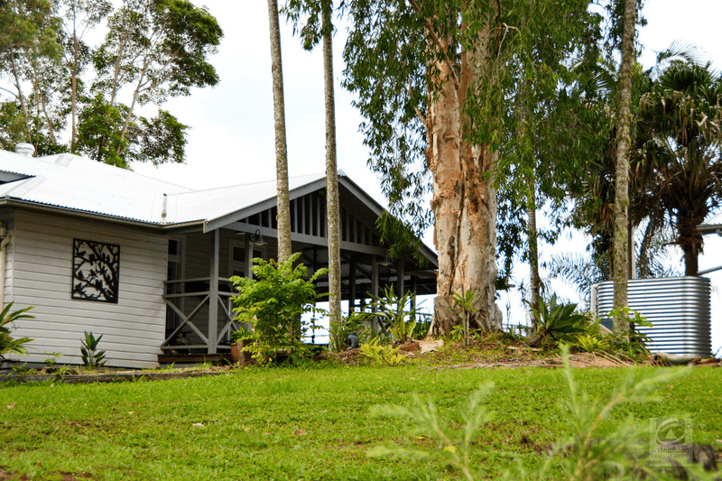 324 Mount Burrell, Mount Burrell, NSW 2484