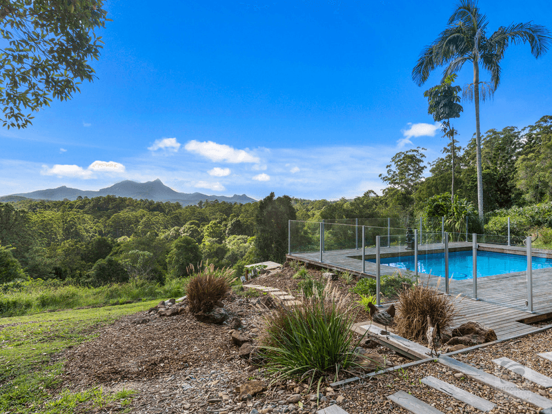 324 Mount Burrell, Mount Burrell, NSW 2484