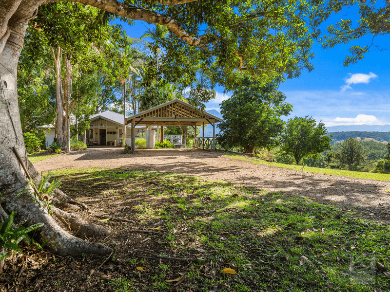 324 Mount Burrell, Mount Burrell, NSW 2484