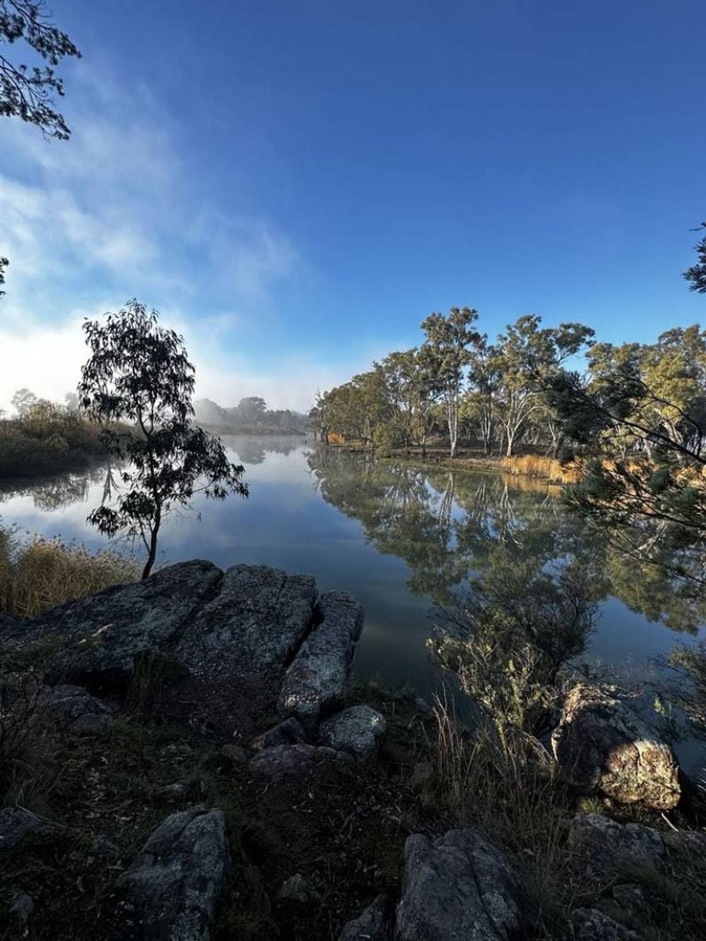 163 Larmer Street, Narrandera, NSW 2700