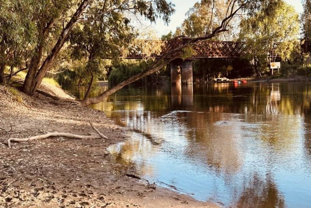 163 Larmer Street, Narrandera, NSW 2700