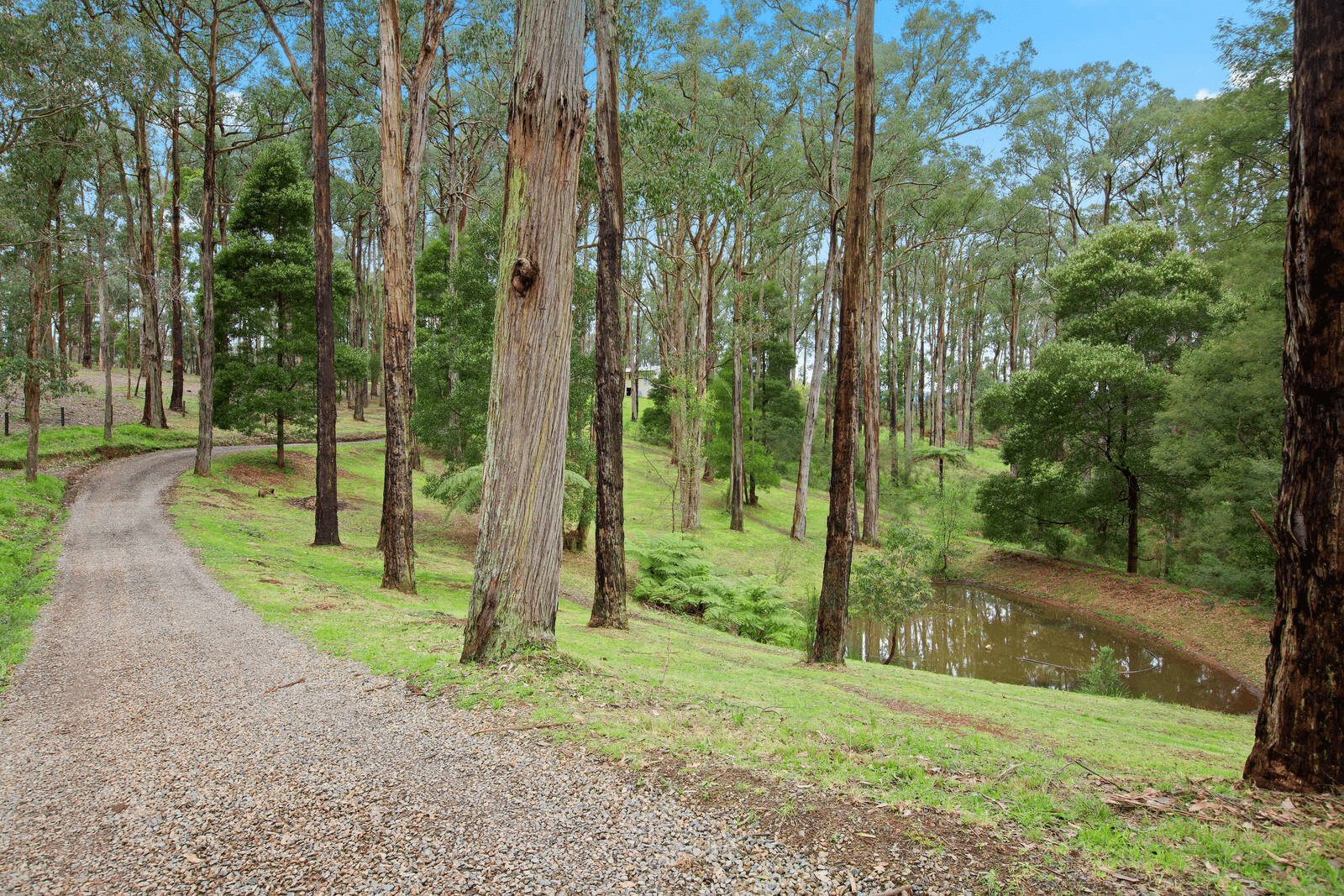 109 Banksia Court, CASTELLA, VIC 3777