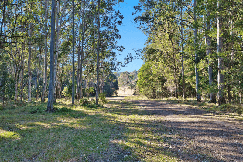 687 Mandalong Rd, MANDALONG, NSW 2264