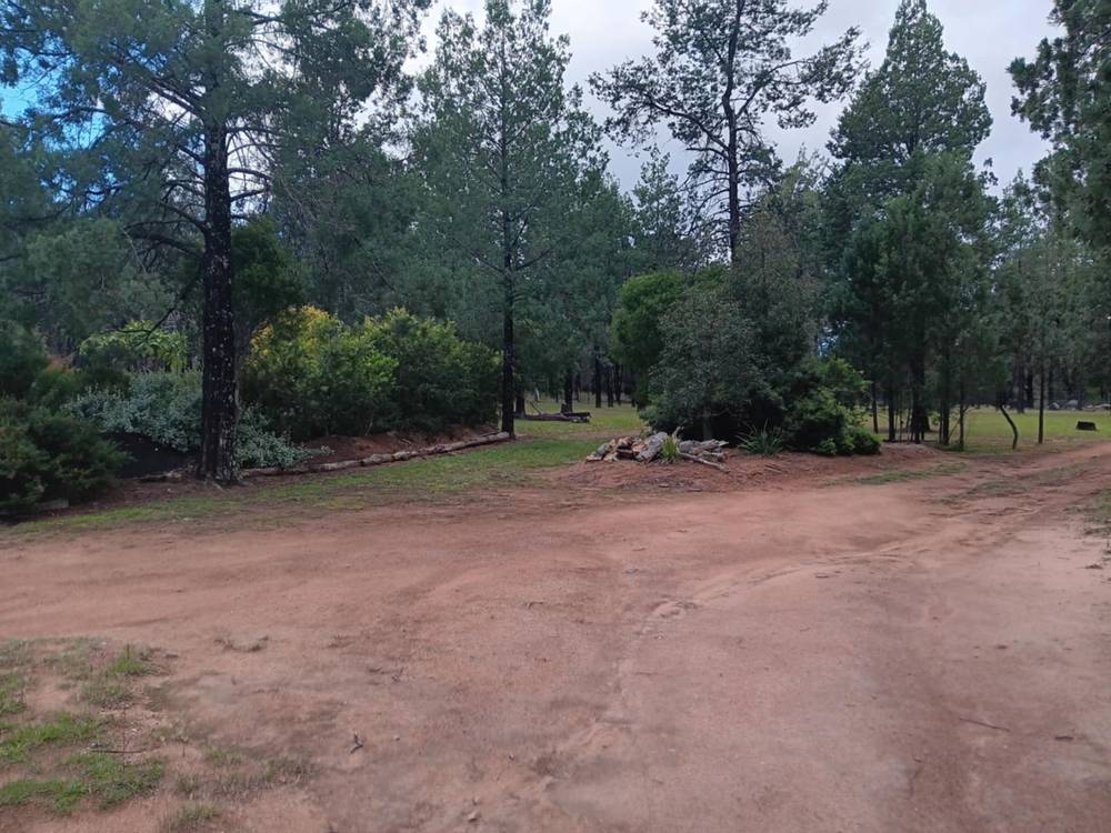 115 Smithfield Mundoey Road, Smithlea, QLD 4385