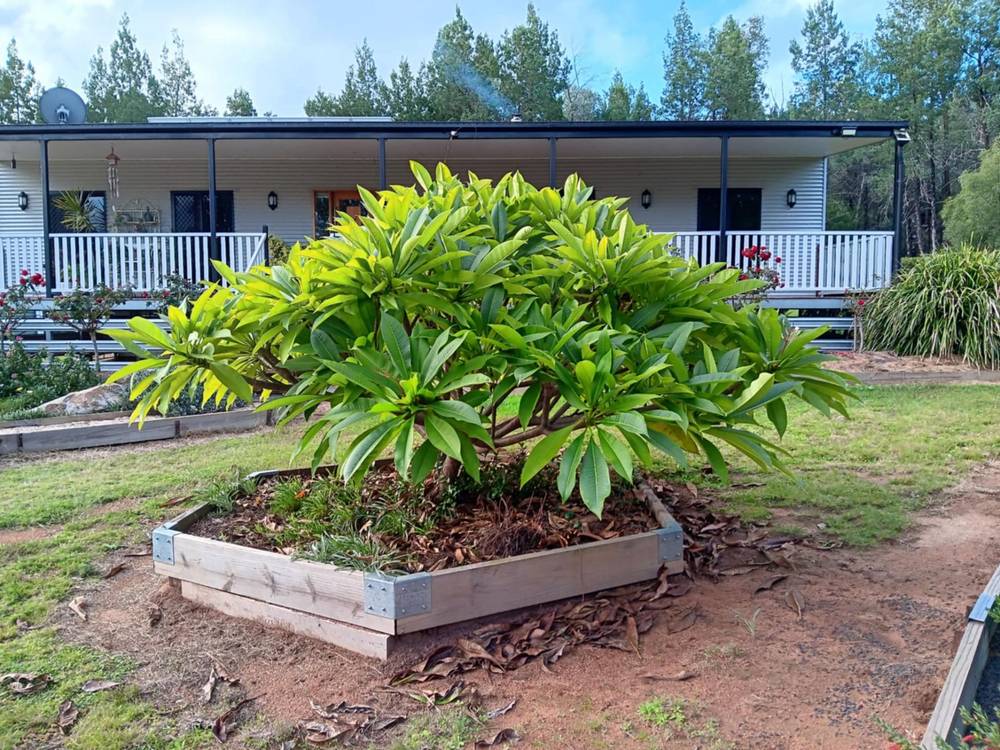 115 Smithfield Mundoey Road, Smithlea, QLD 4385