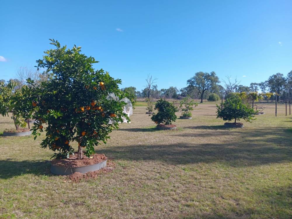 115 Smithfield Mundoey Road, Smithlea, QLD 4385