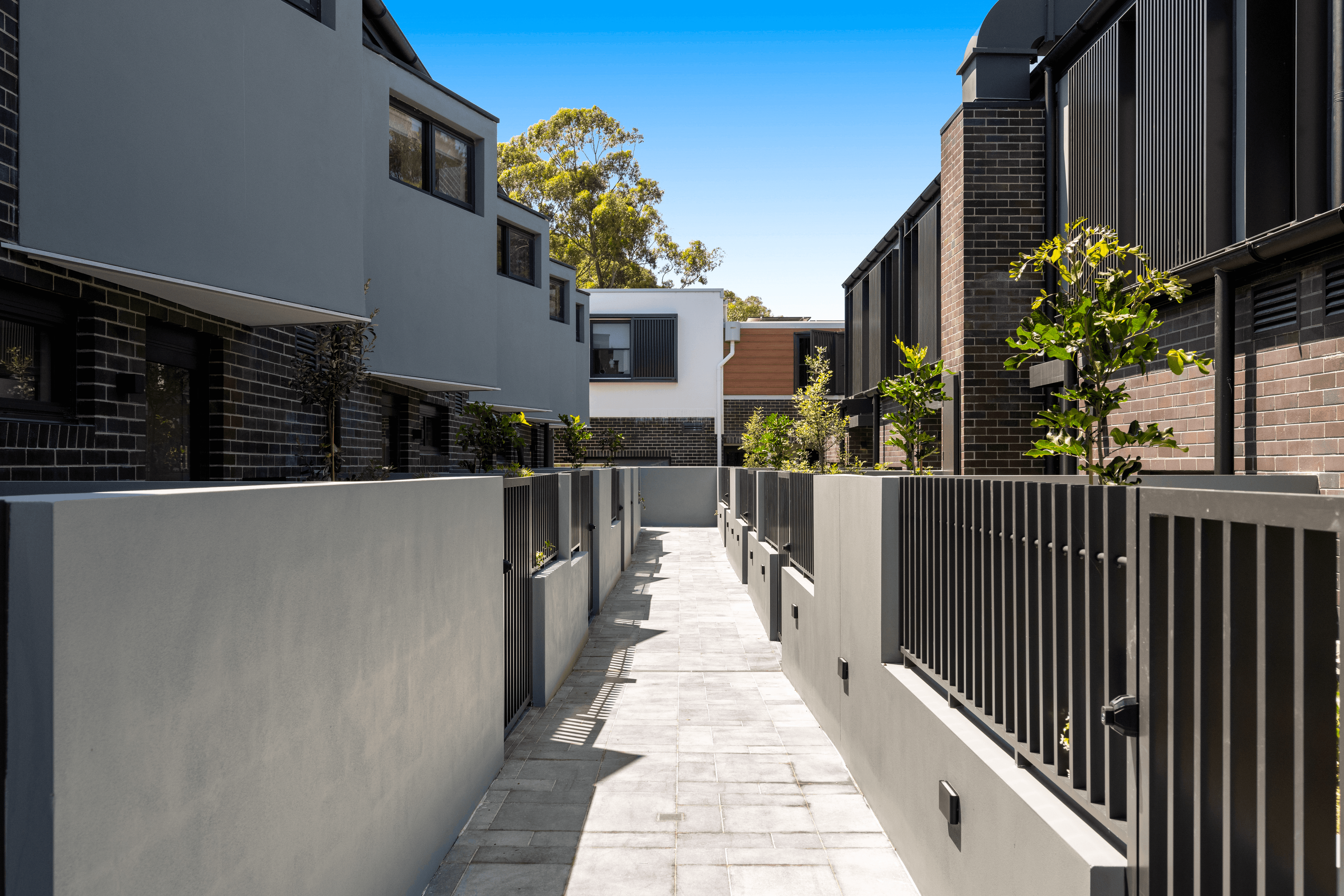 3/23-27 Wheatleigh Street, CROWS NEST, NSW 2065