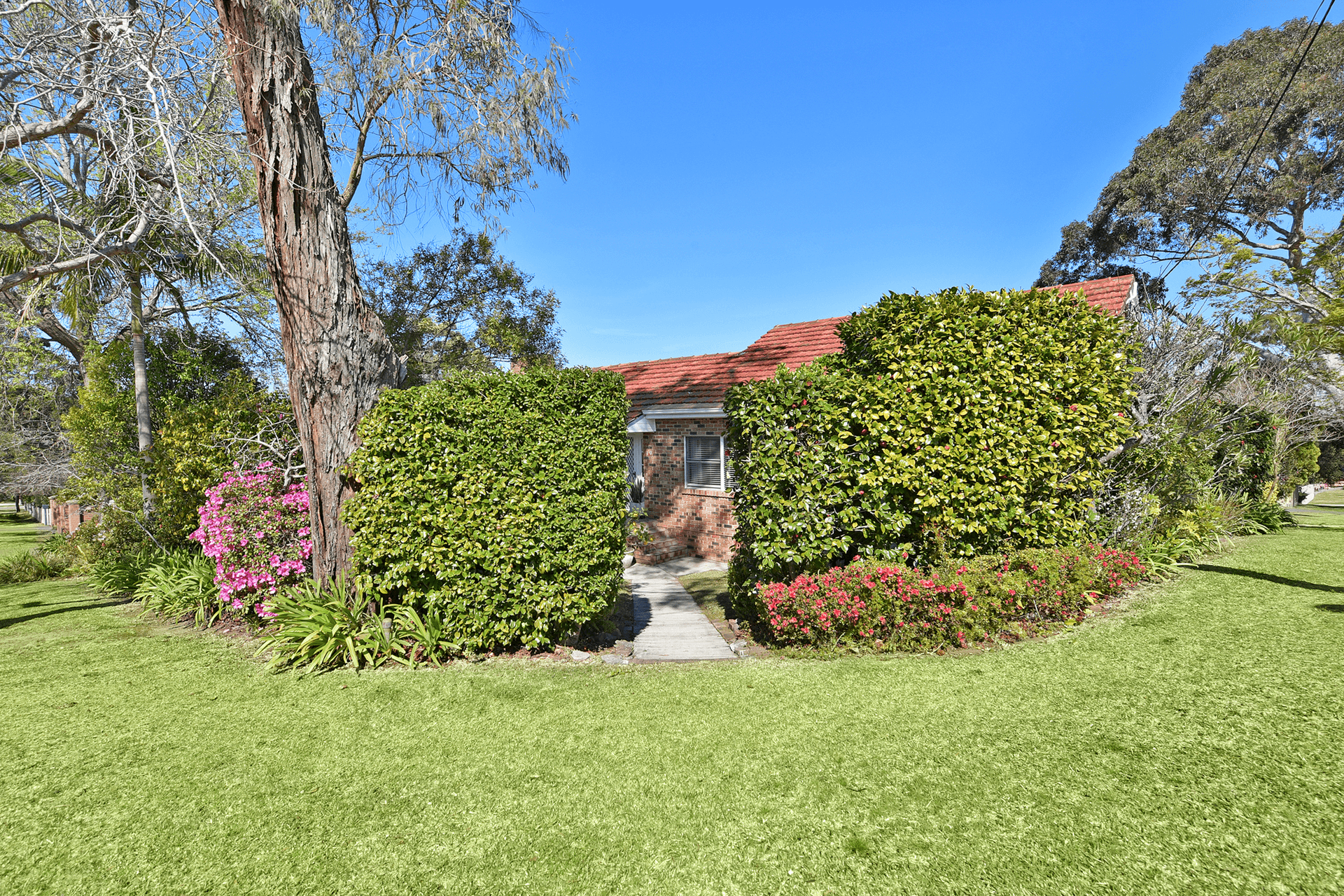 19 Fitzpatrick Avenue, Frenchs Forest, NSW 2086