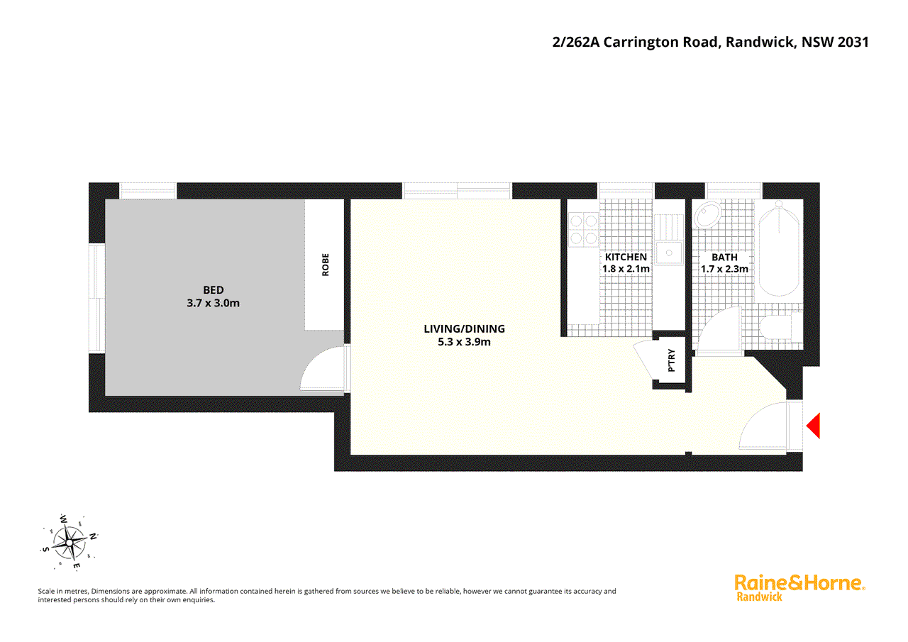 2/262A Carrington Road, RANDWICK, NSW 2031