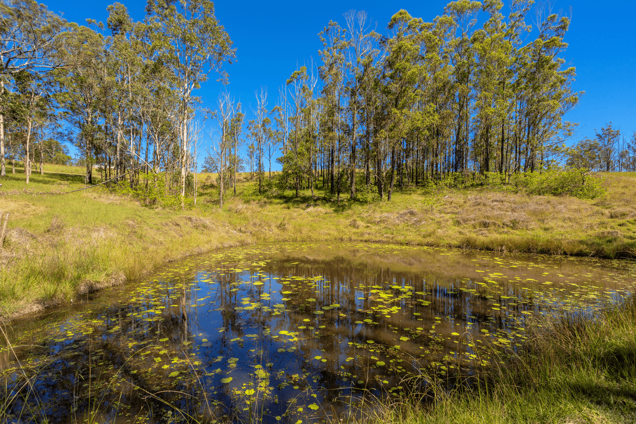 32 Kardinia Road, DOLLYS FLAT, NSW 2429