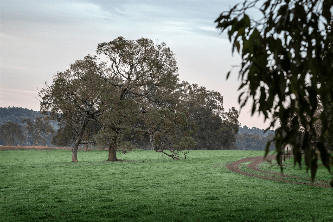 Lot 715 Zebu Road, Lower Chittering, WA 6084