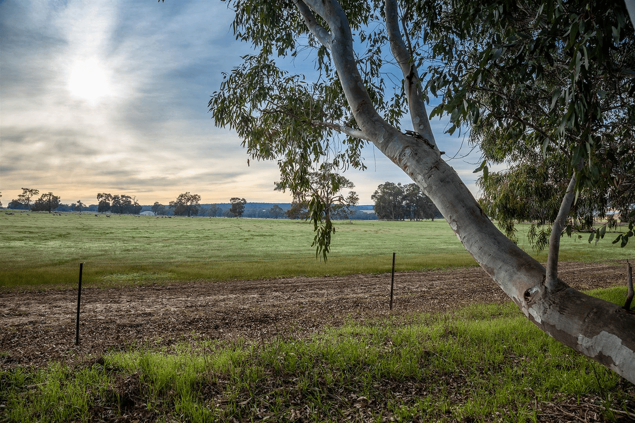 Lot 715 Zebu Road, Lower Chittering, WA 6084