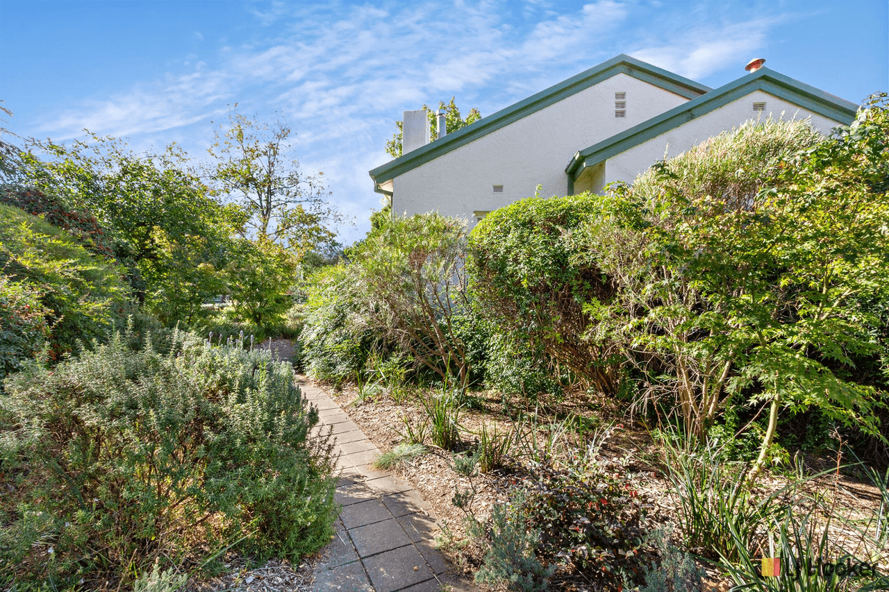 36 Elimatta Street, REID, ACT 2612