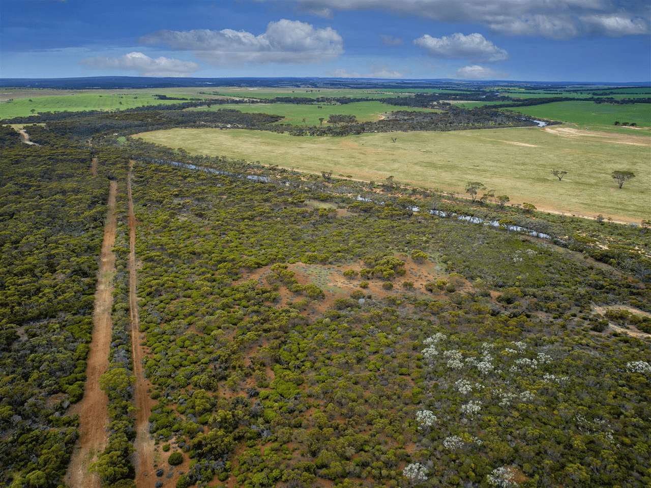 Lot 170 South Coast Highway, RAVENSTHORPE, WA 6346