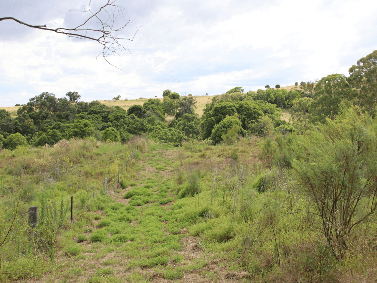 Lot 2 Rettkes Road, SWANFELS, QLD 4371