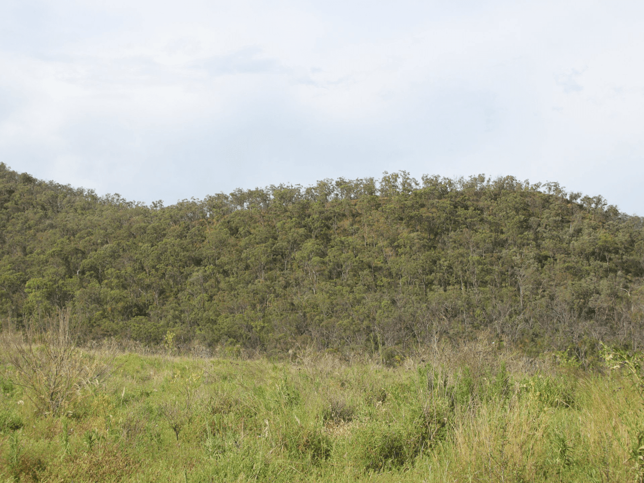 Lot 2 Rettkes Road, SWANFELS, QLD 4371