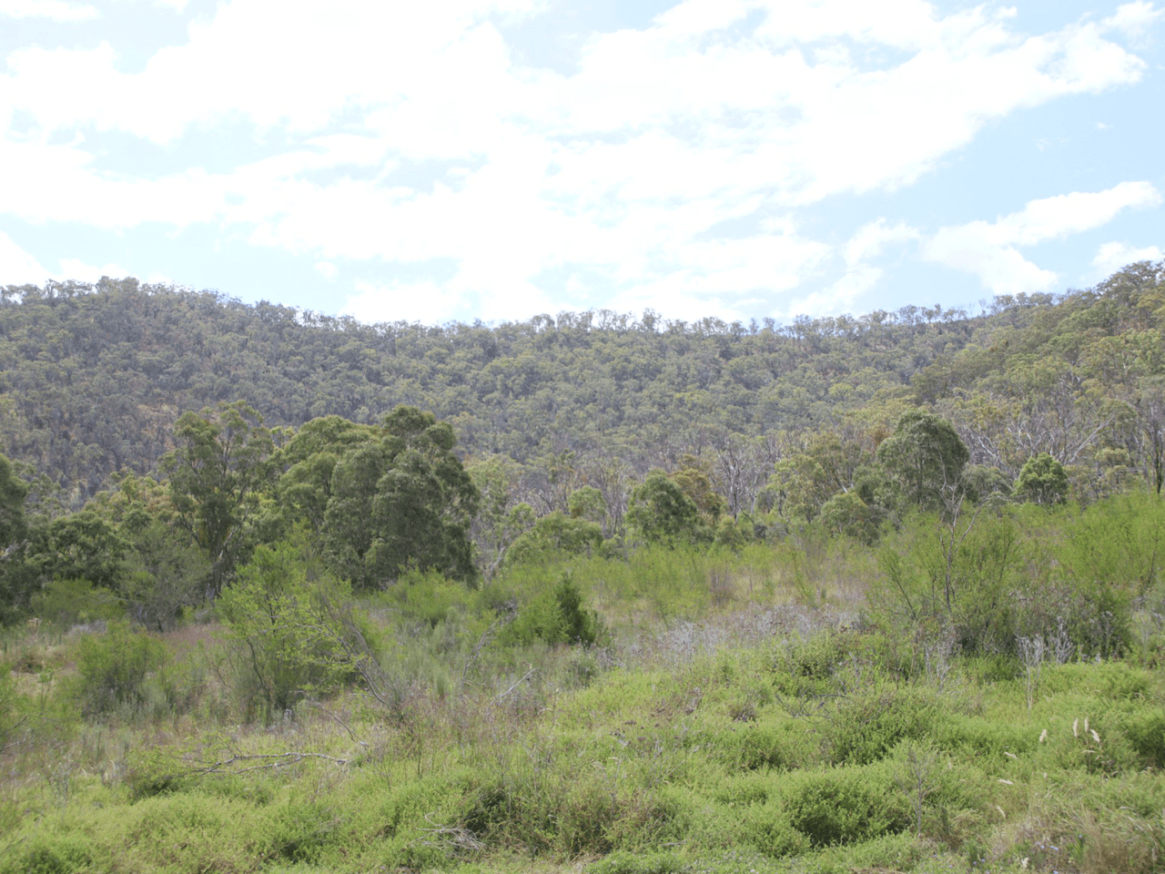 Lot 2 Rettkes Road, SWANFELS, QLD 4371