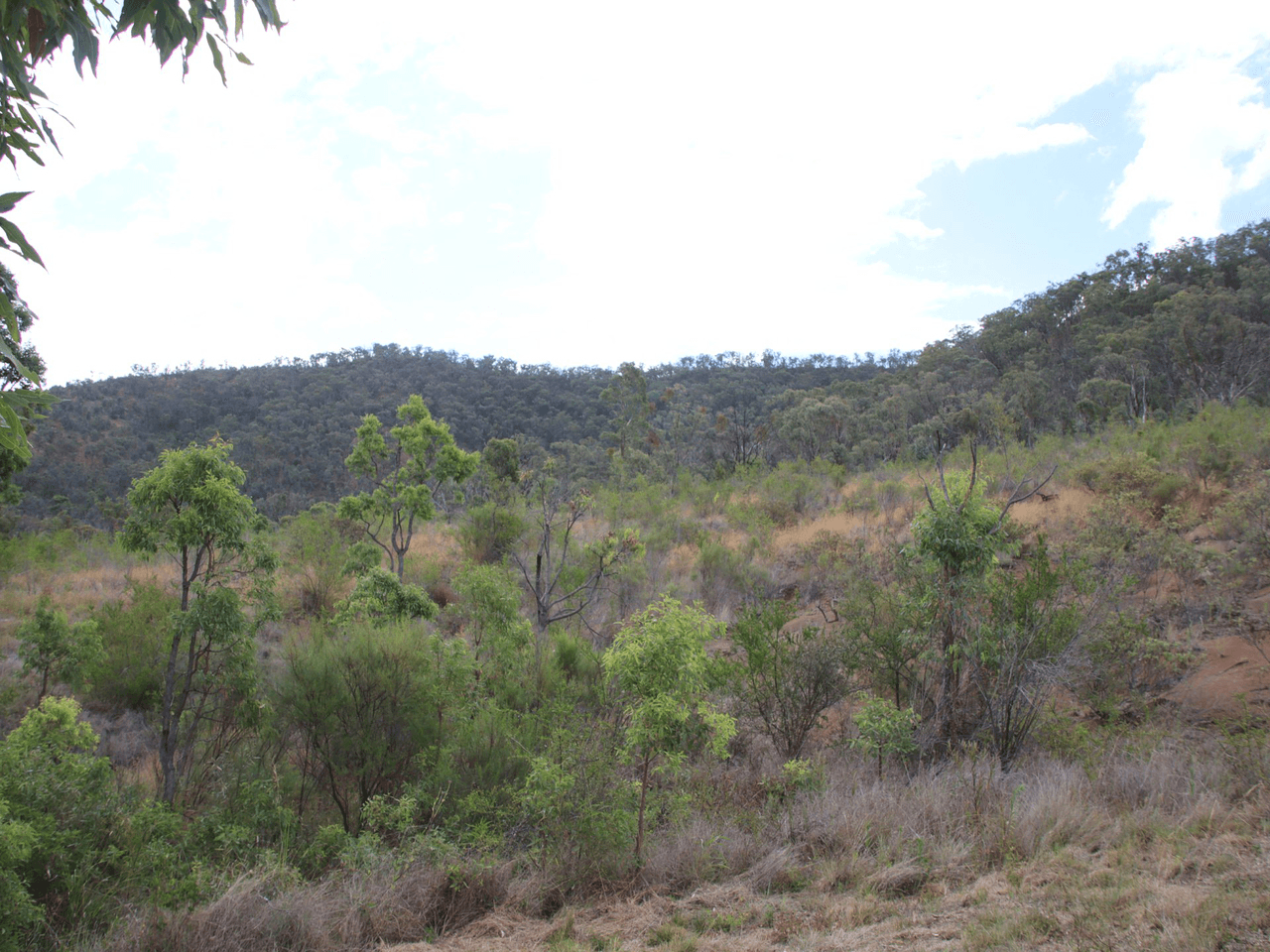 Lot 2 Rettkes Road, SWANFELS, QLD 4371