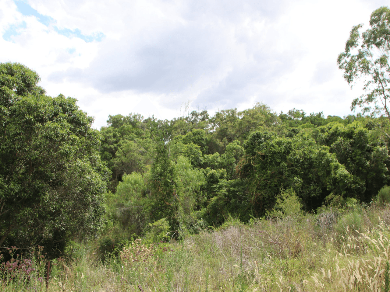 Lot 2 Rettkes Road, SWANFELS, QLD 4371