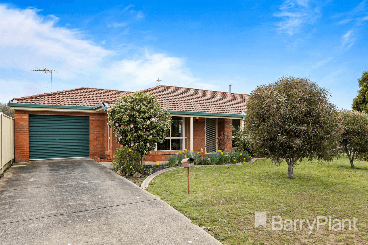 1/17 Jack Court, Alfredton, VIC 3350