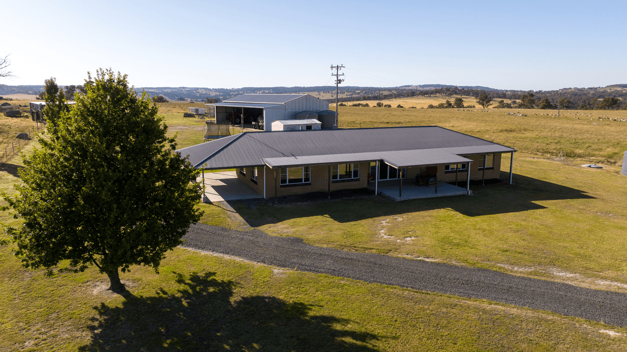 141 Brushy Creek Road, BRUSHY CREEK, NSW 2365