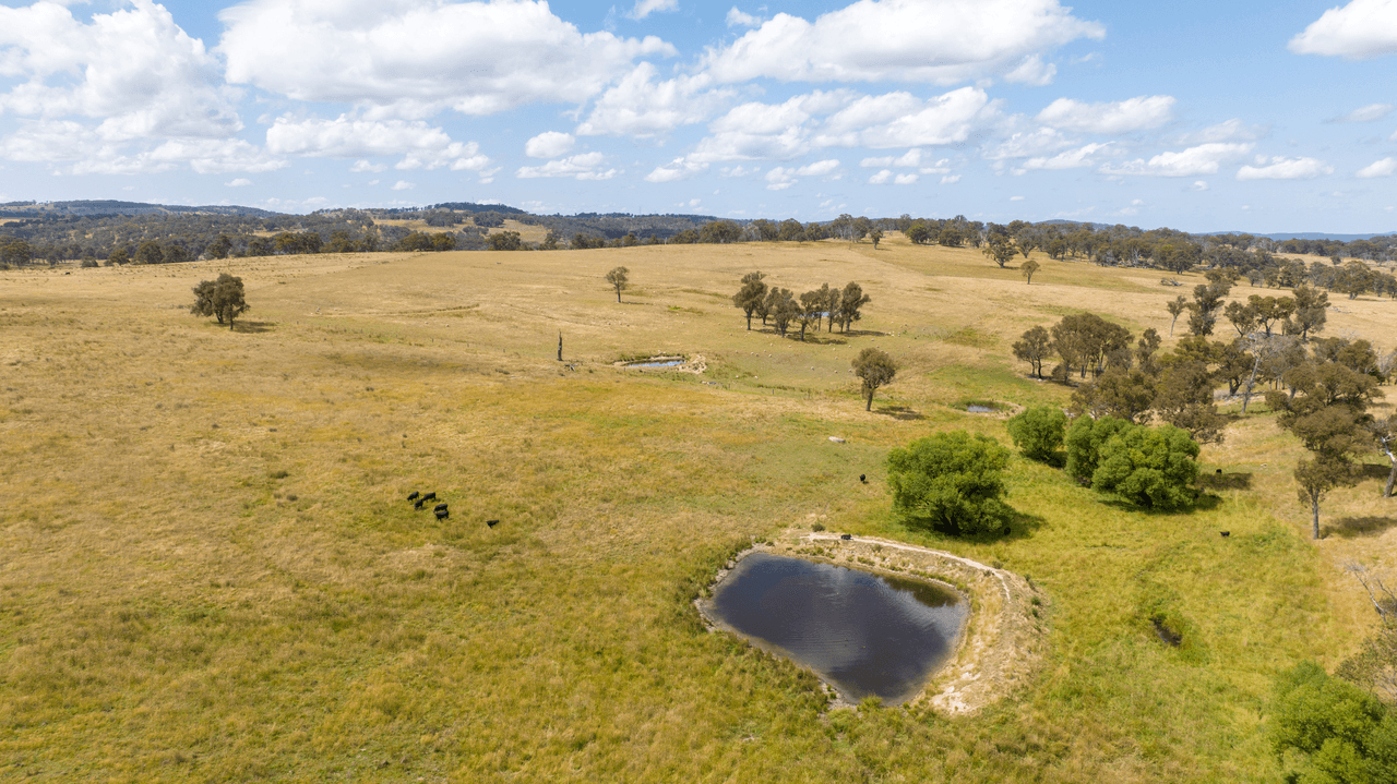 141 Brushy Creek Road, BRUSHY CREEK, NSW 2365