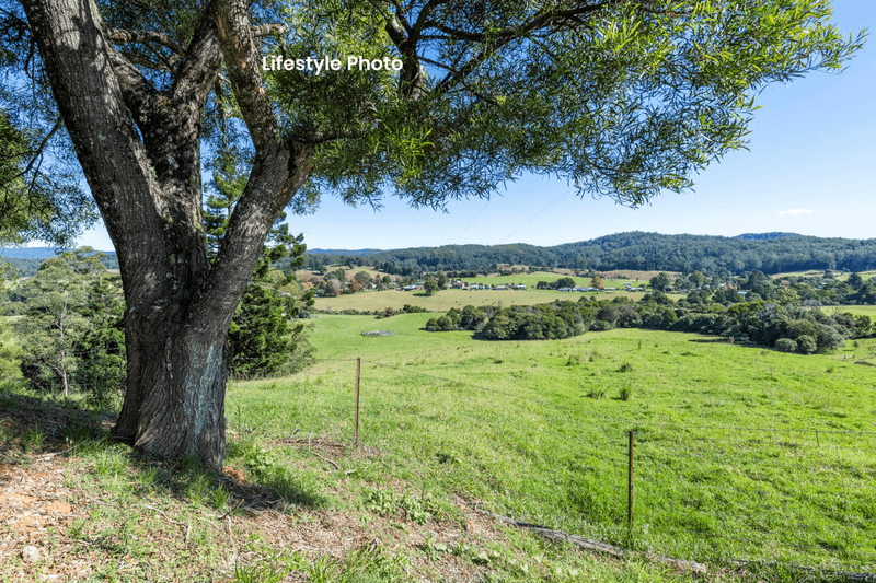 3 Timms Avenue, ULONG, NSW 2450