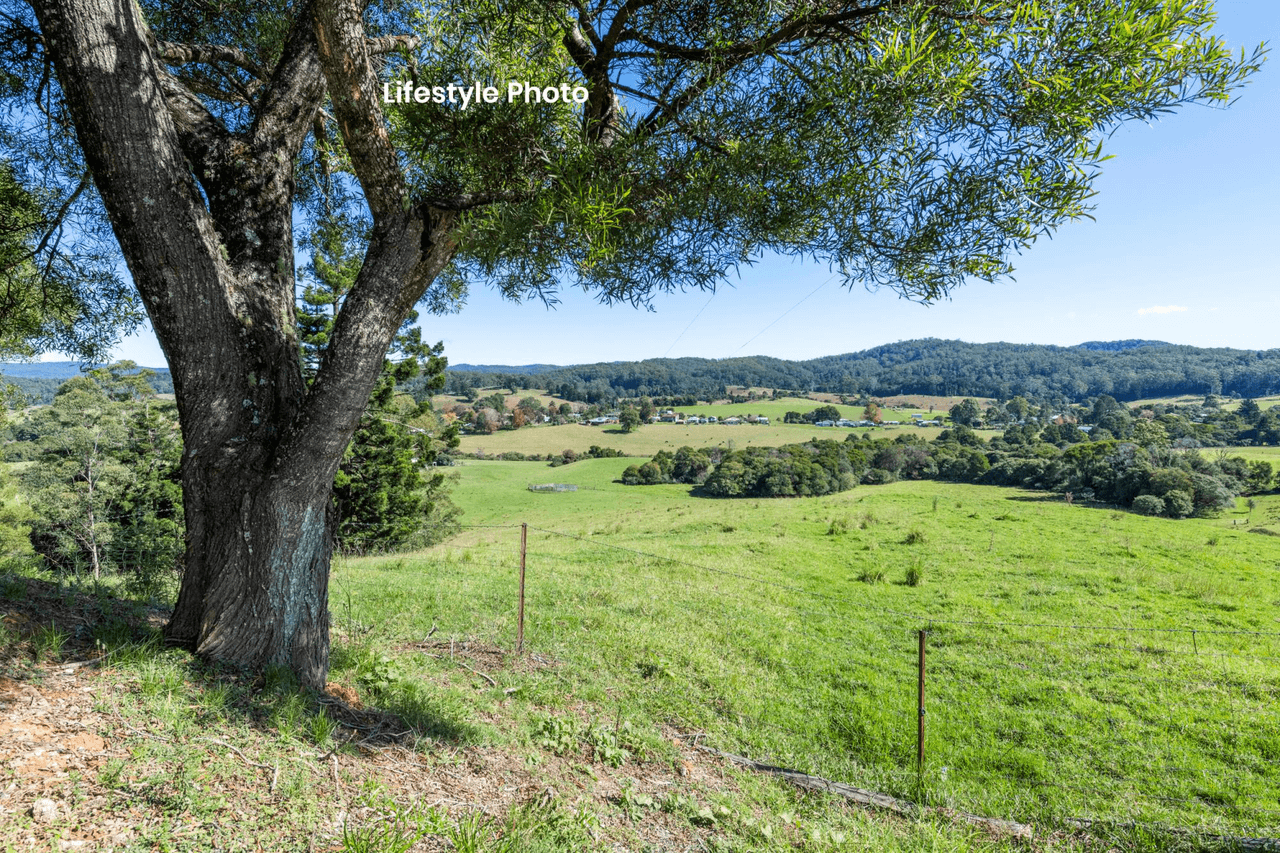 3 Timms Avenue, ULONG, NSW 2450